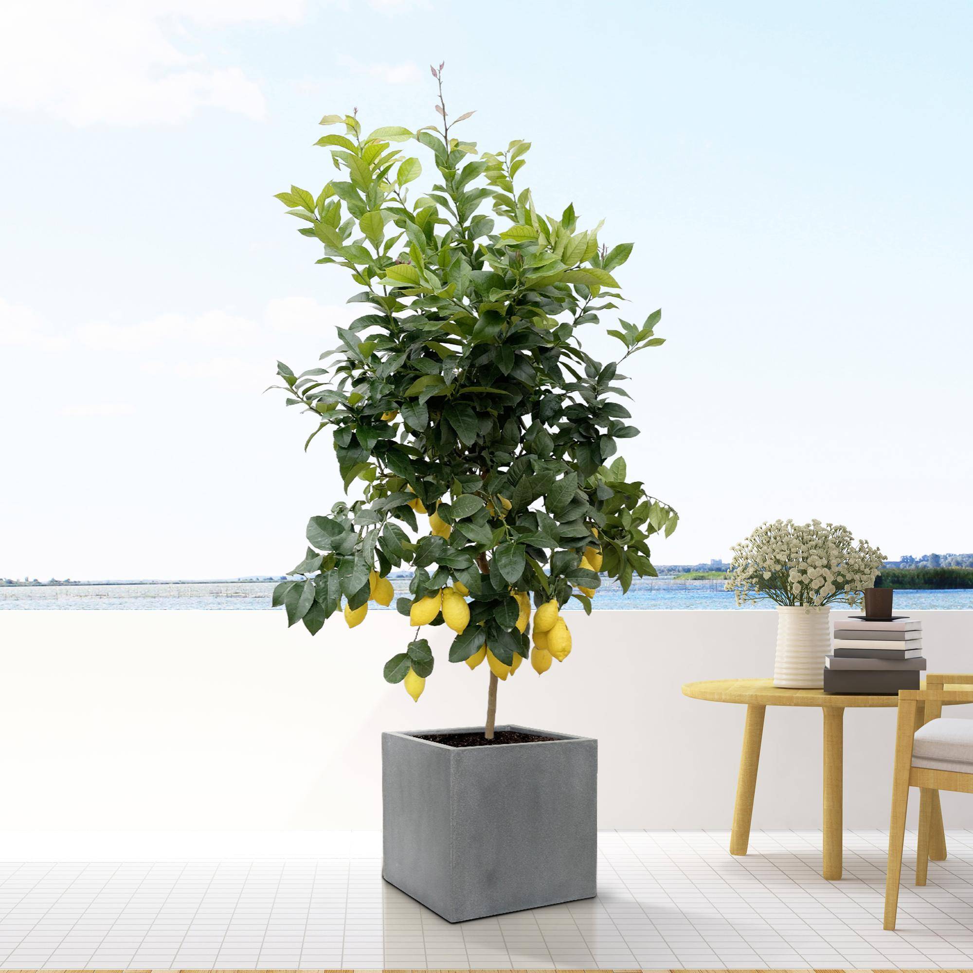 Pot de fleurs gris - taille XL - D.60cm x H.60cm - Image 2