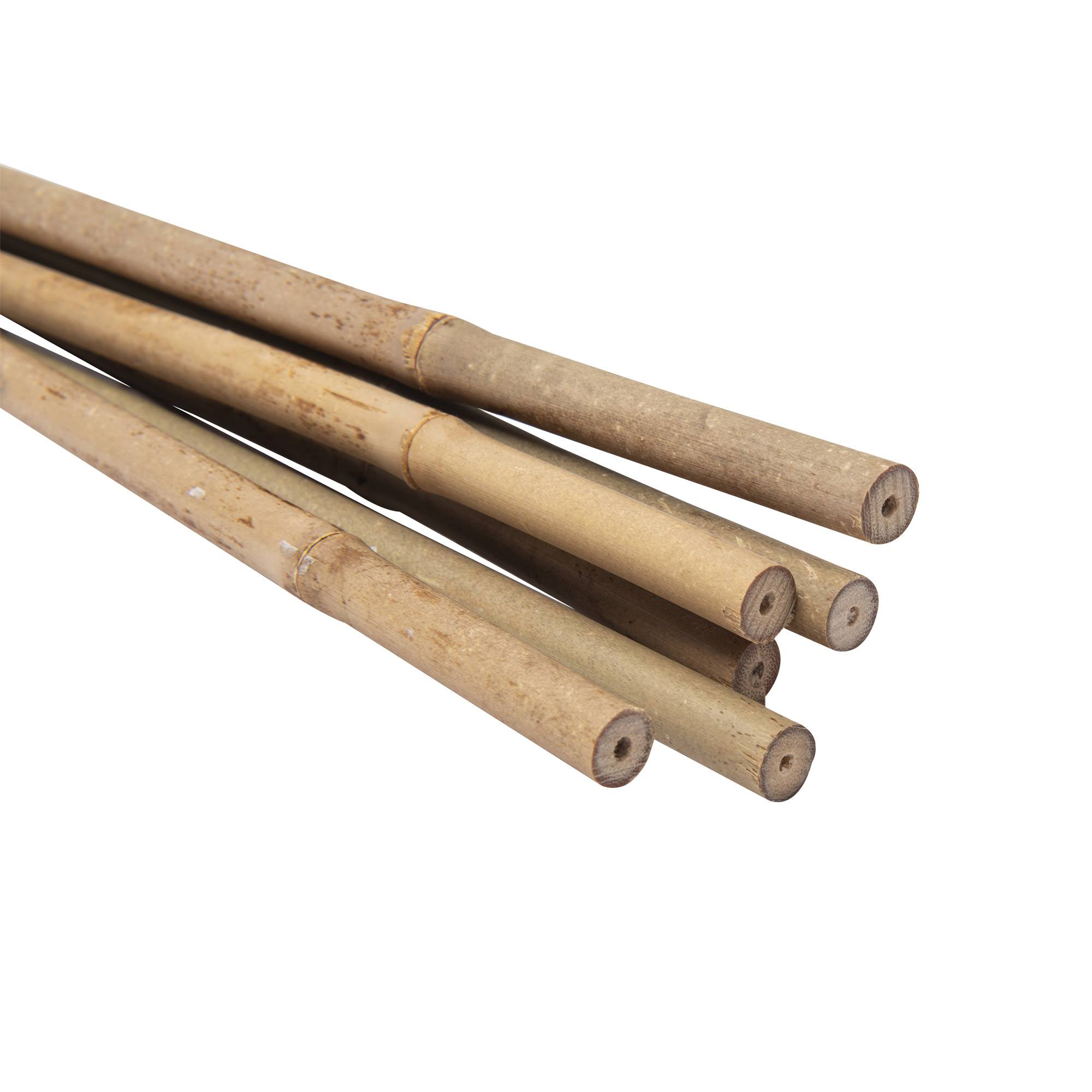 Lot de 6 tuteurs en bambou WERKA PRO - H 90cm (Ø 8-10 mm) - Image 4