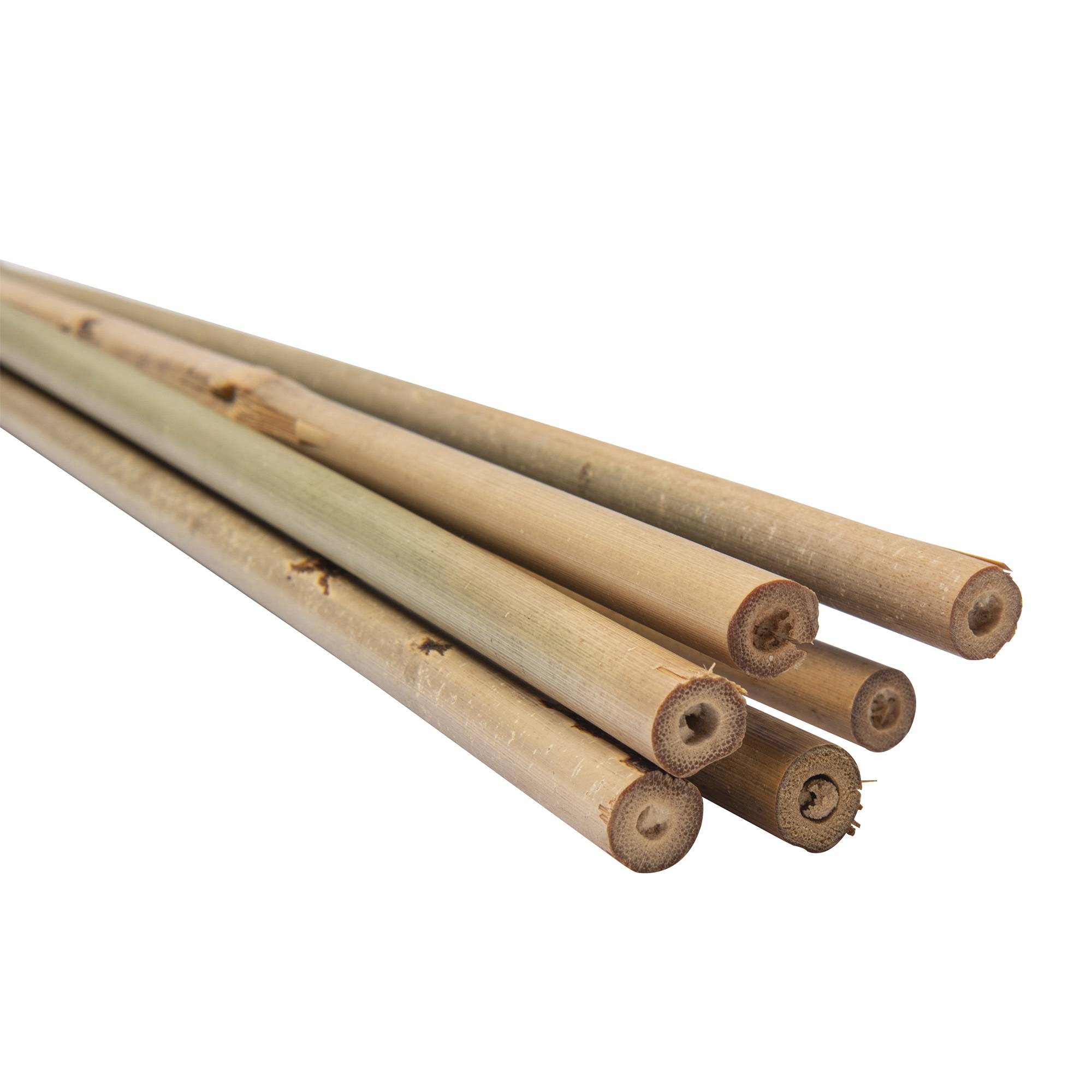 Lot de 6 tuteurs en bambou WERKA PRO - H 90cm (Ø 8-10 mm) - Image 2
