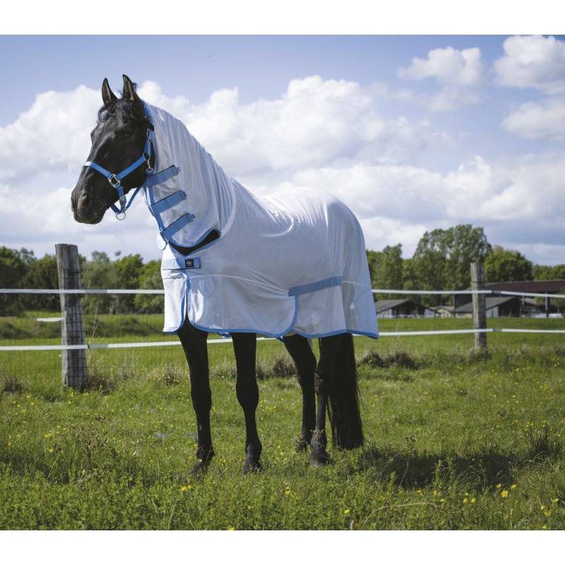 Chemise Filet Cheval - Blanc et Bleu - Riding World Combo - taille 168 - Image 1