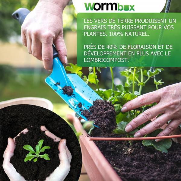 Lombricomposteur WormBox 4 Plateaux Noir, 72L - Image 6