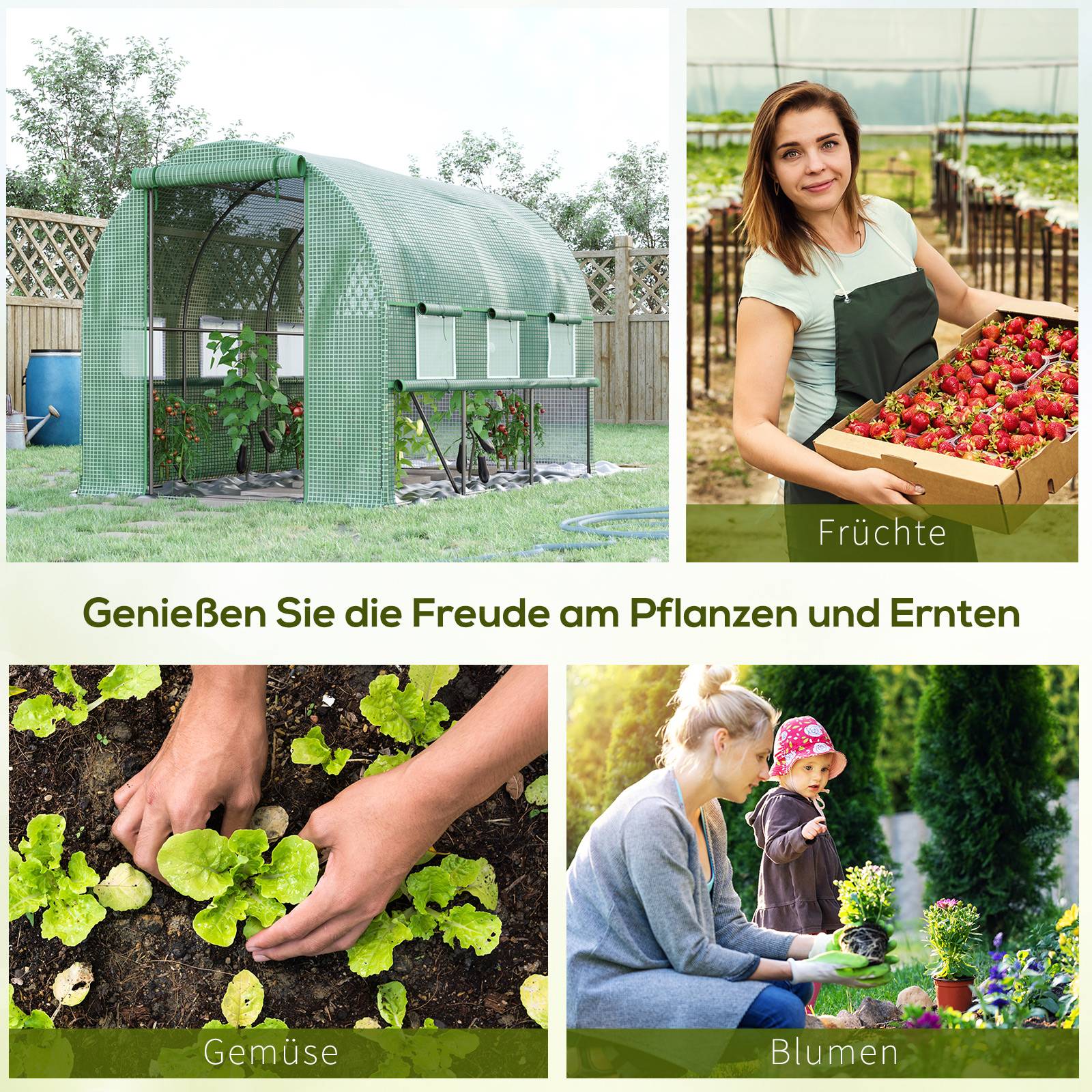 Sans Marque - Serre aluminium 6 fenêtres enroulables porte zippée acier inox 2,95x2x2 m serre jardin verte robuste extérieure - Image 8