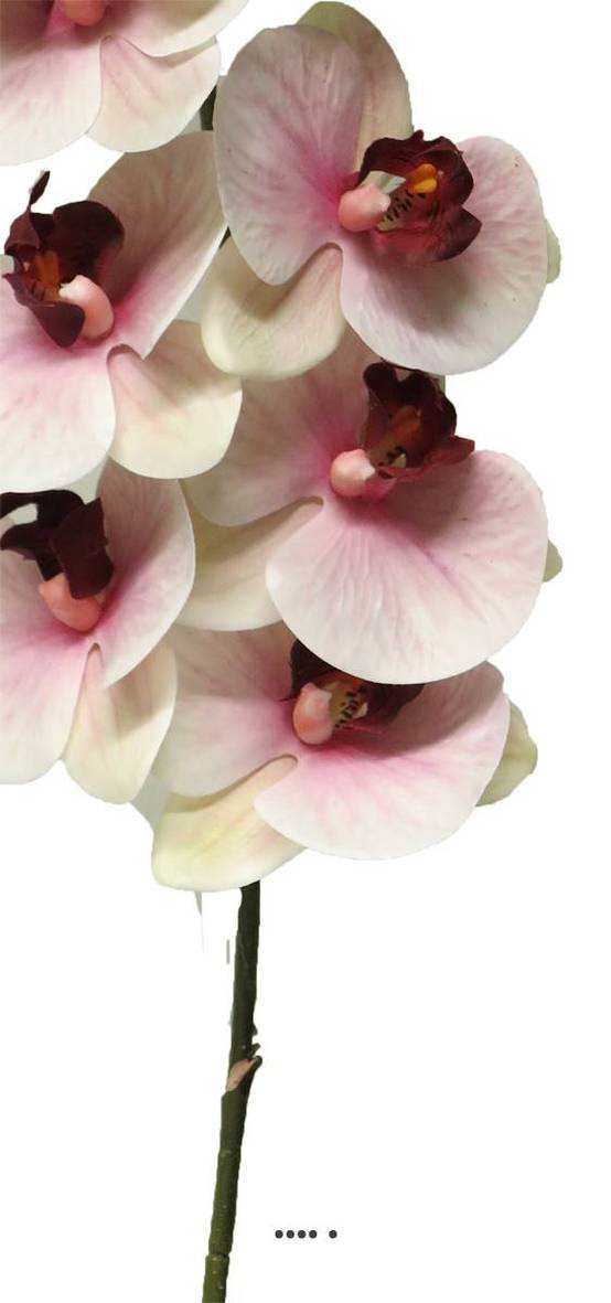 Tige orchidée phalaenopsis Factice 9fleurons H108cm Pourpre-blanc-BEST - couleur: Pourpre-blanc - Image 3