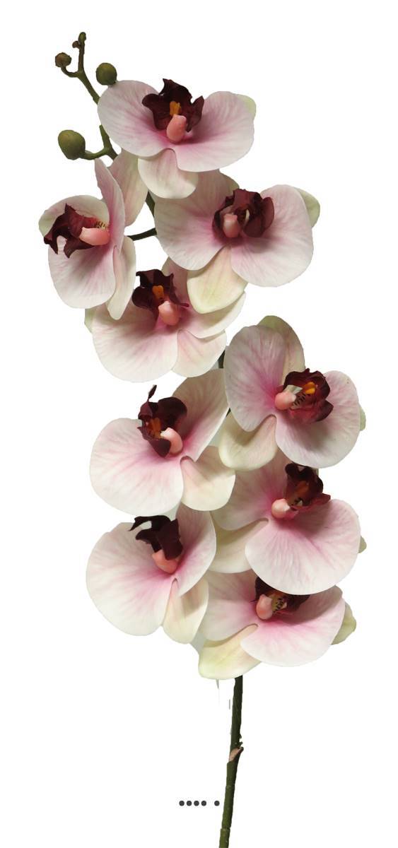 Tige orchidée phalaenopsis Factice 9fleurons H108cm Pourpre-blanc-BEST - couleur: Pourpre-blanc - Image 2