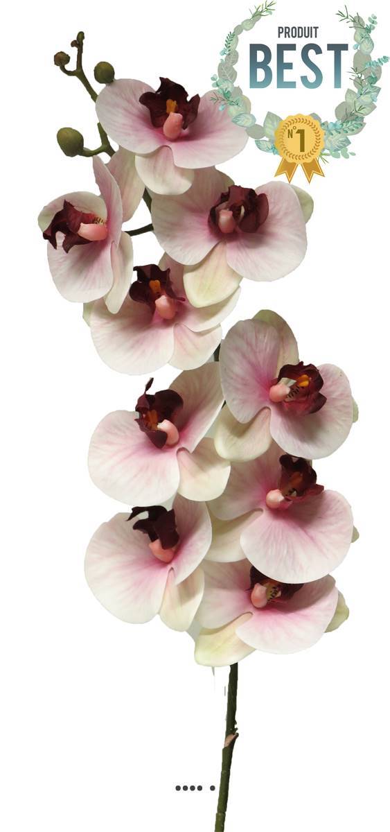 Tige orchidée phalaenopsis Factice 9fleurons H108cm Pourpre-blanc-BEST - couleur: Pourpre-blanc - Image 1