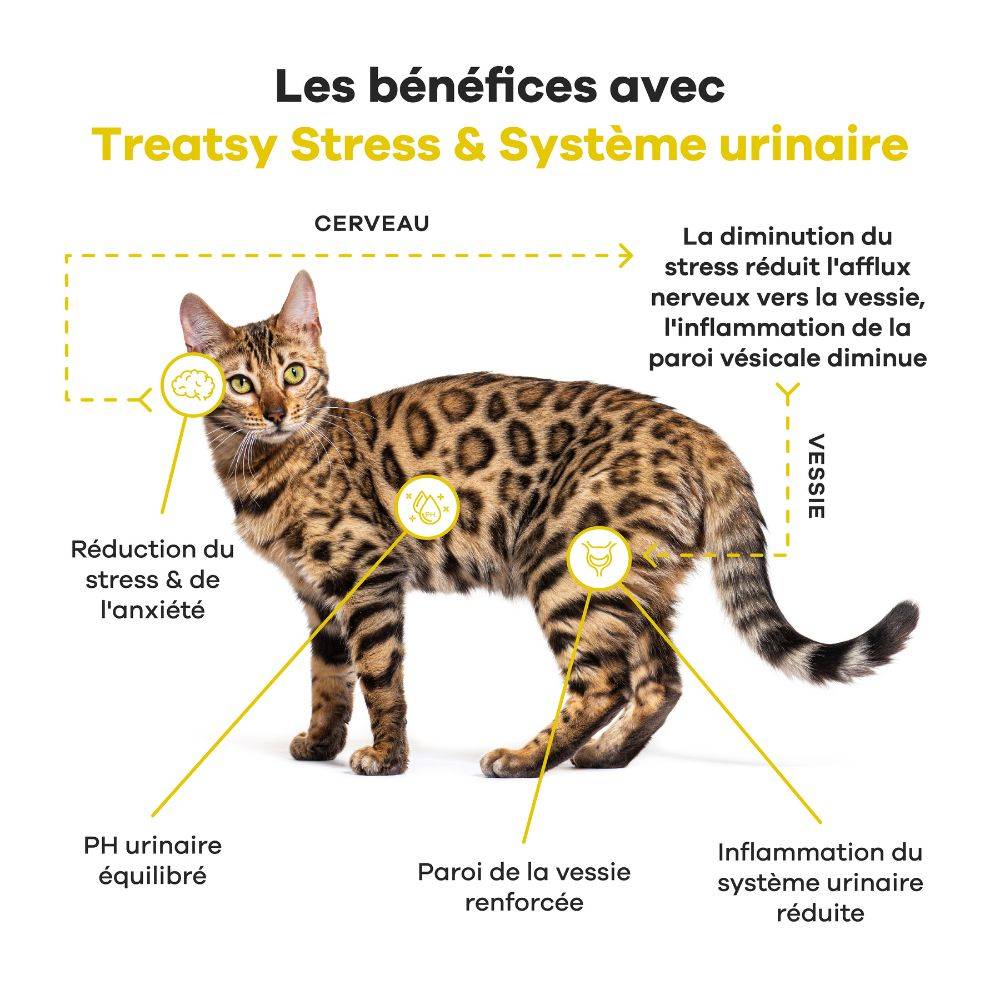 Complément Alimentaire - Stress & Système Urinaire pour chat - Cystite & Struvite - Alpha-caséine, L-Tryptophane, Oméga 3 - Treatsy - Image 2