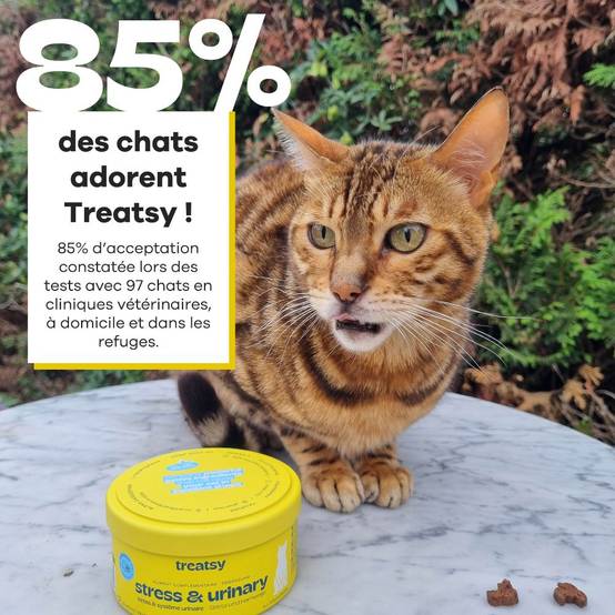 Complément Alimentaire - Stress & Système Urinaire pour chat - Cystite & Struvite - Alpha-caséine, L-Tryptophane, Oméga 3 - Treatsy - Image 6