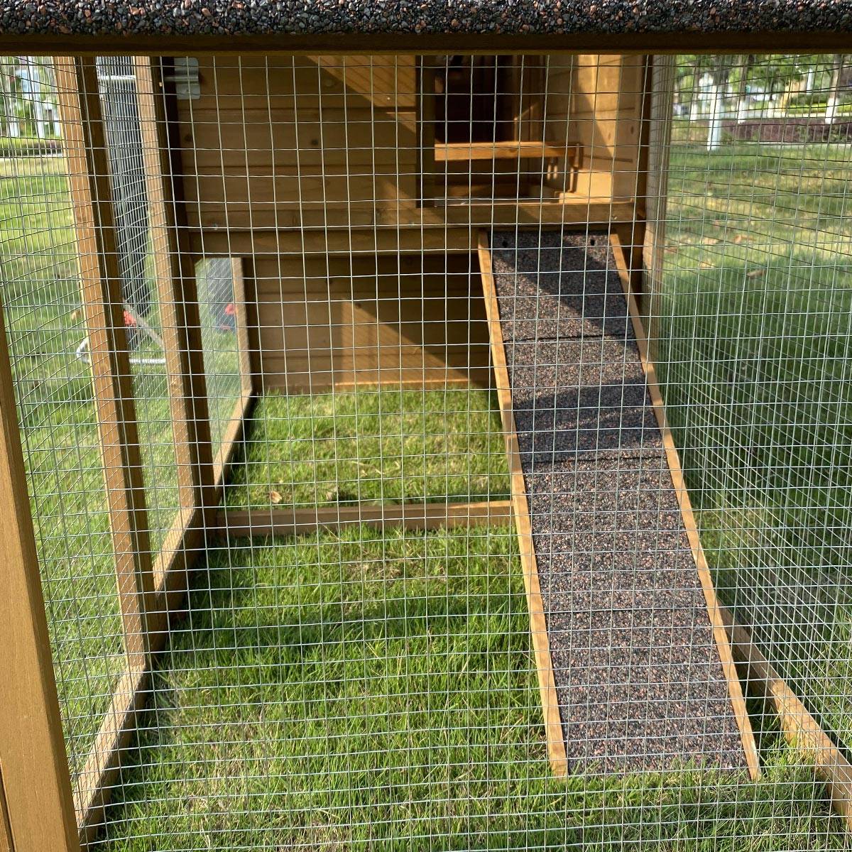 Poulailler en bois 3 poules Minnesota - Cémonjardin - Image 5