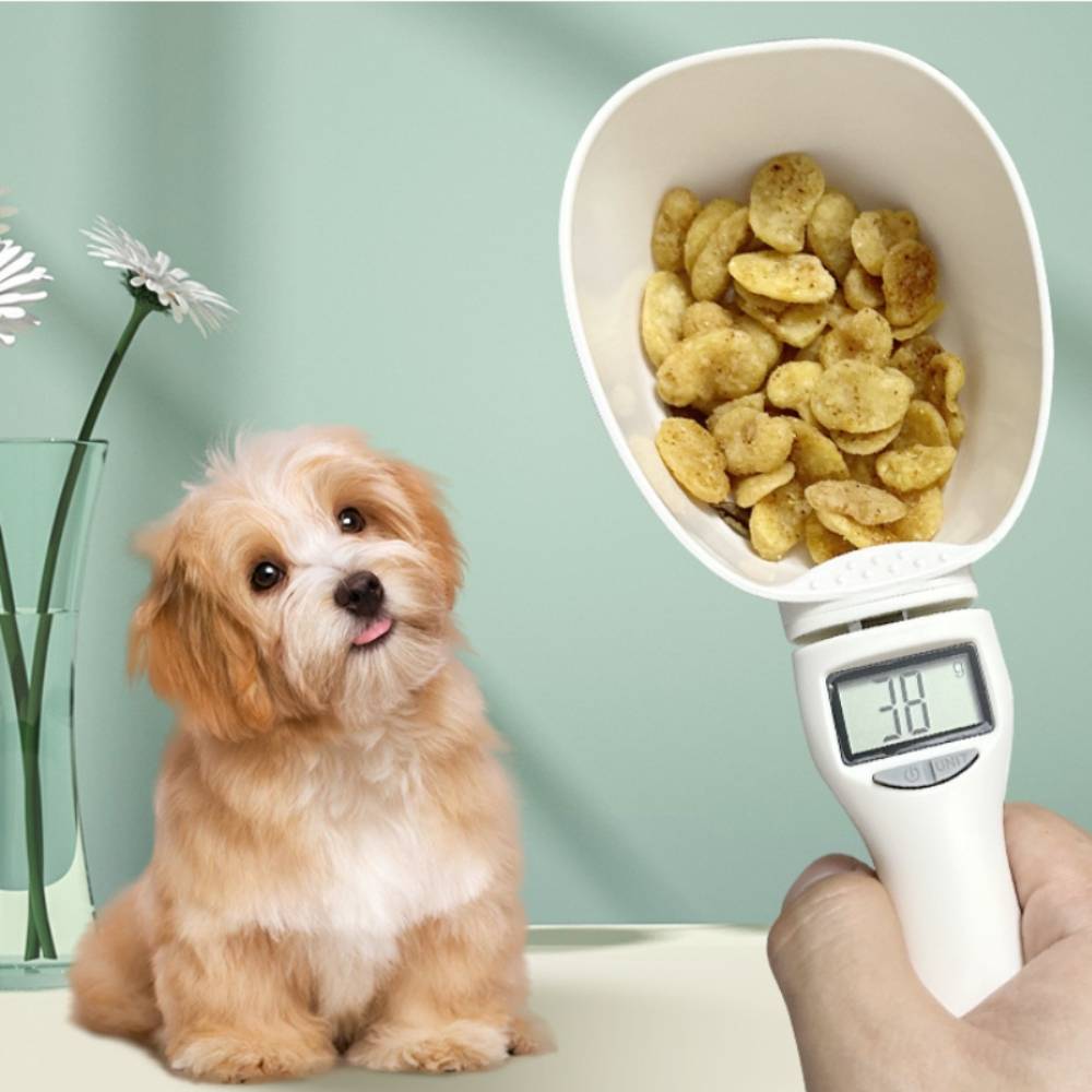 Balance cuillère numérique pour chien - IntiMeg - Image 2