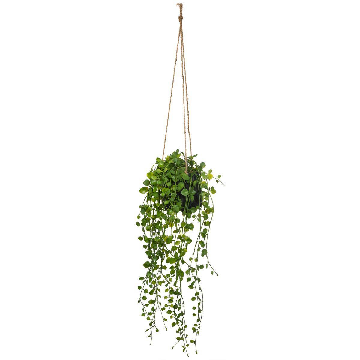 Atmosphera - Plante artificielle à suspendre "Living" pot ciment D10cm - Atmosphera Créateur d'intérieur