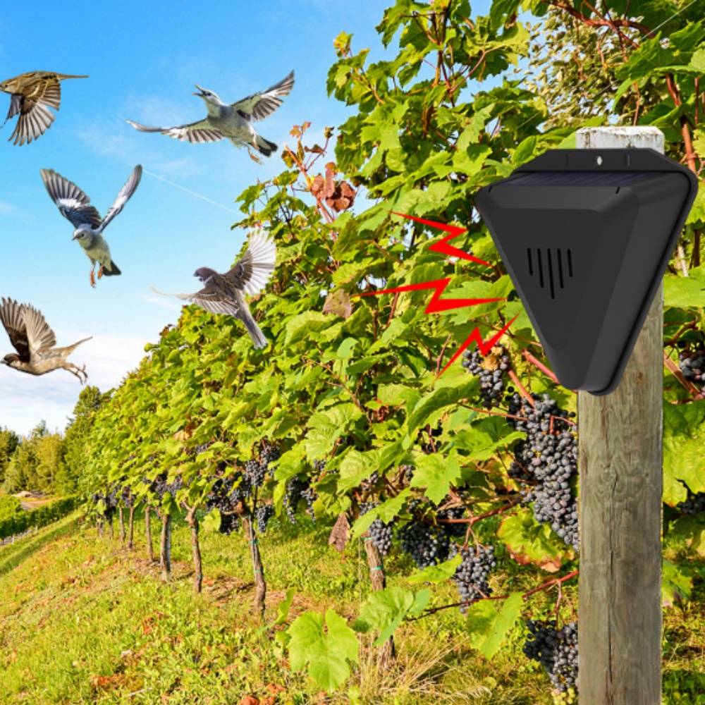 Pulseur d'oiseaux solaire avec alarme sonore et lumineuse MCBOSON - Image 9
