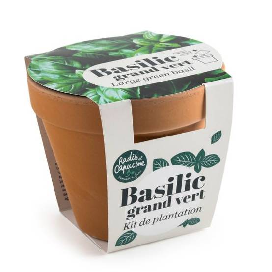 Radis et Capucine - Radis et Capucine - Pot en terre cuite antique - Basilic grand vert bio - Image 1