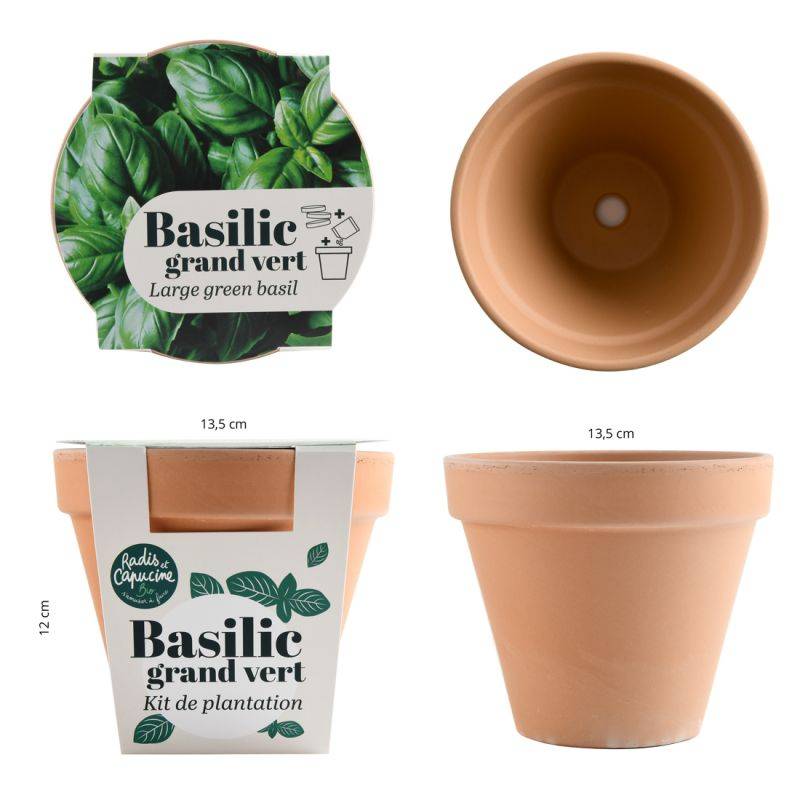 Radis et Capucine - Radis et Capucine - Pot en terre cuite antique - Basilic grand vert bio - Image 4