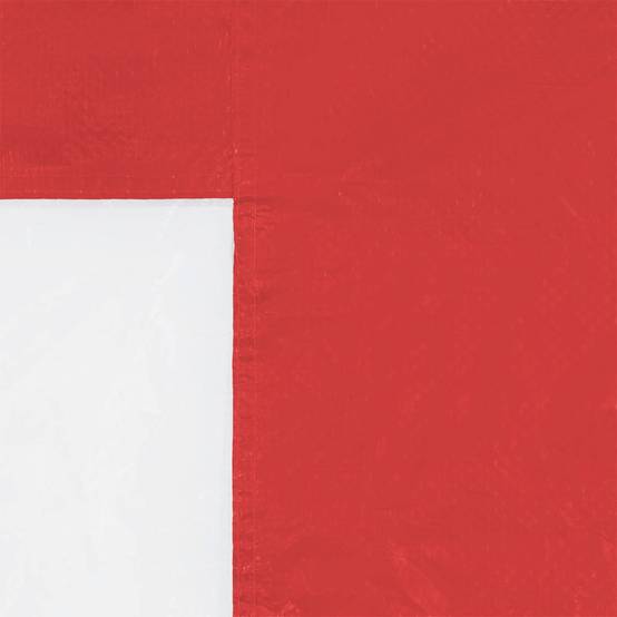 Parois de tente de fête PE et acier rouge 200 x 195 cm - PANGIVO - Image 4