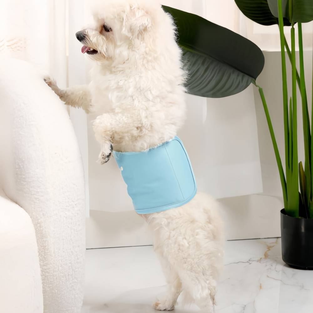 IntiMeg - Culottes hygiéniques pour chiens S IntiMeg - Image 10
