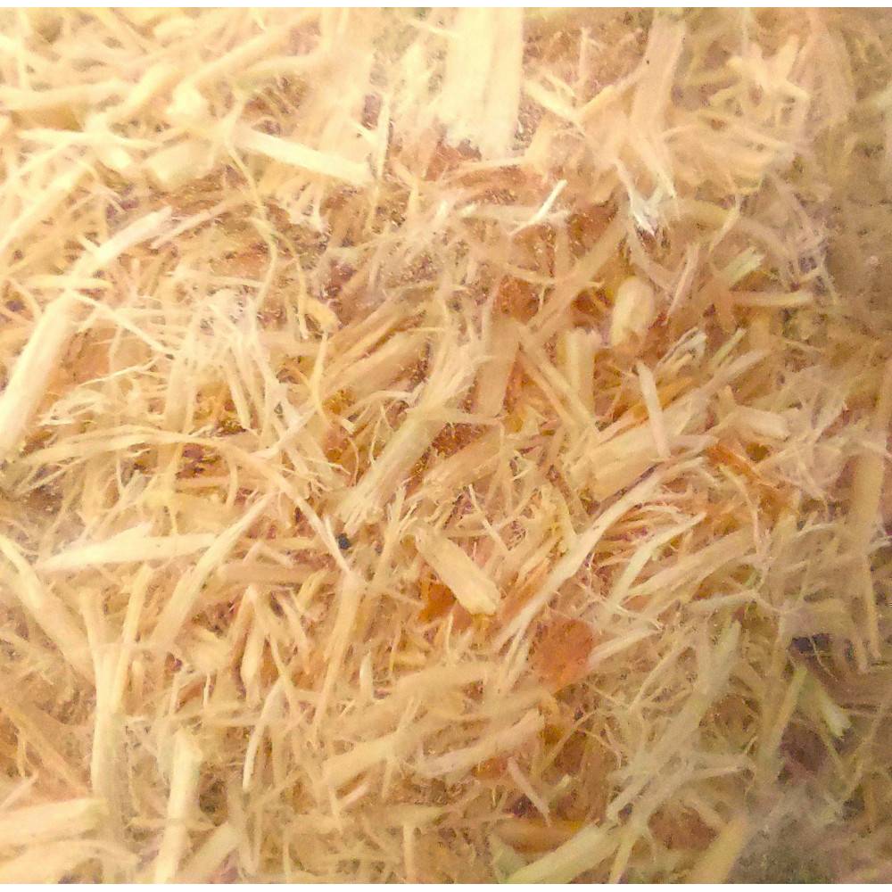 Zoomed - Litière pour serpents Aspen de Zoo Med de 26.4 litres - Image 3