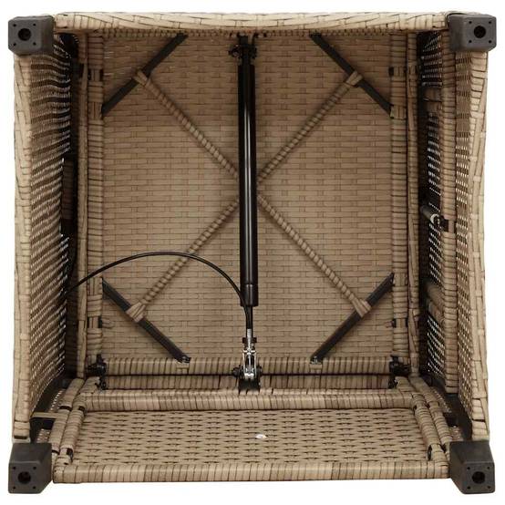 Prolenta Premium - Chaises de jardin rotin beige 65 x 58 x 94 cm - Prolenta premium p398.2 - Image 10