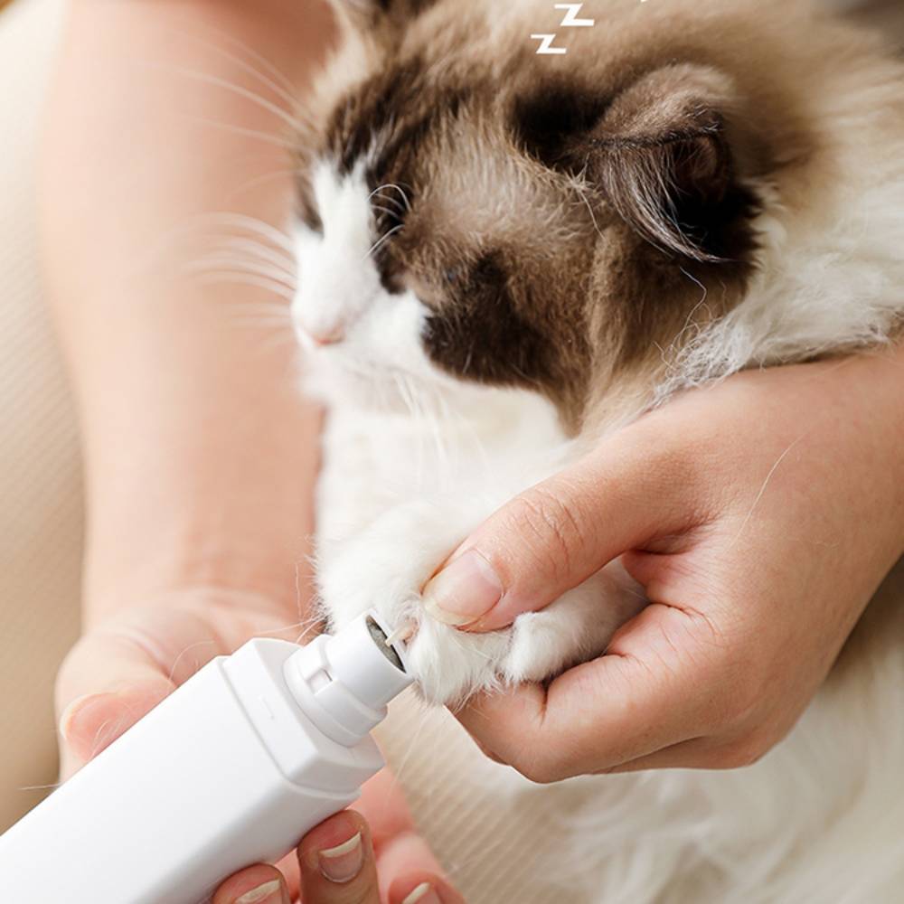 Coupe ongles électrique rechargeable pour animaux - MCBOSON - Image 2