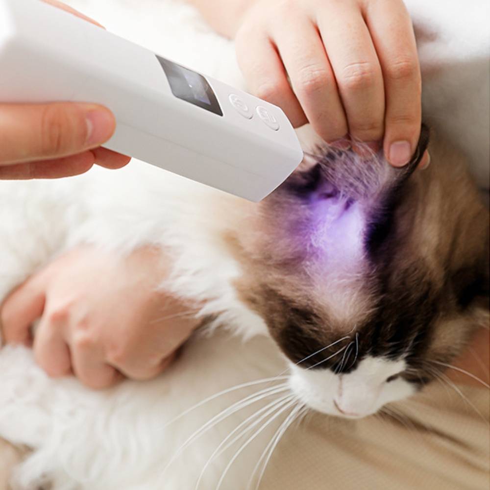 Coupe ongles électrique rechargeable pour animaux - MCBOSON - Image 5