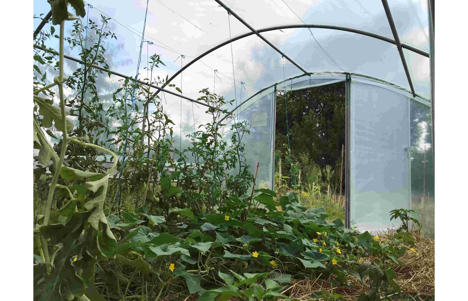 Serre tunnel de jardin - 18m² - 3 x 6 m - pieds droits - aérations latérales - 4 saisons - LES SERRES TONNEAU - Image 8