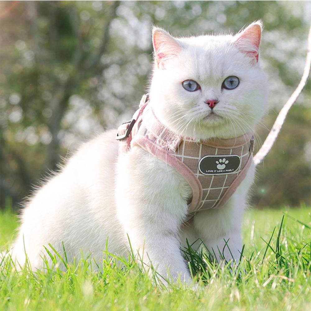 IntiMeg - Harnais pour chat en maille souple s - IntiMeg - Image 5