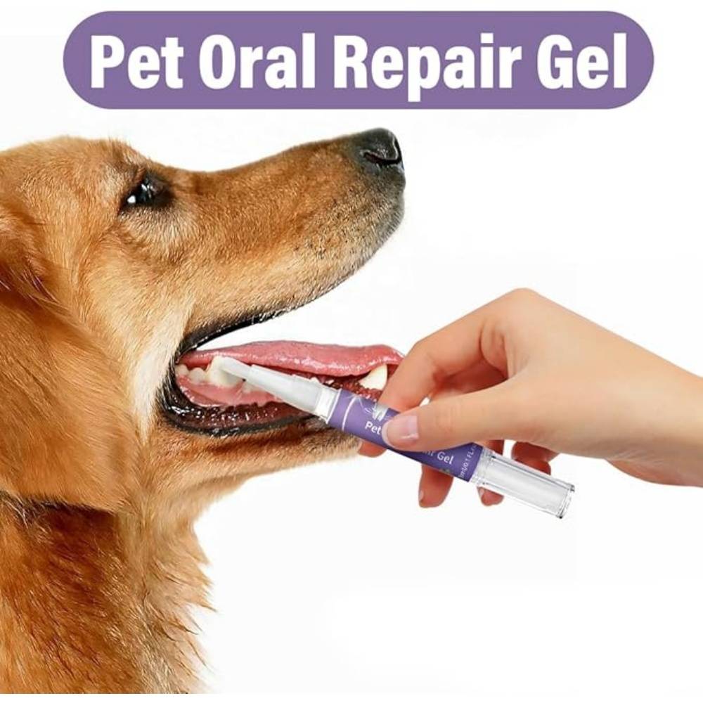 DtopbuyAge - 2 Pièces Gel Réparation Buccale pour Animaux - Image 5