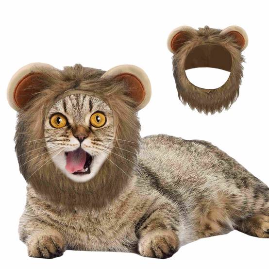 IntiMeg - Chapeau de chat mignon Lion IntiMeg - Image 1