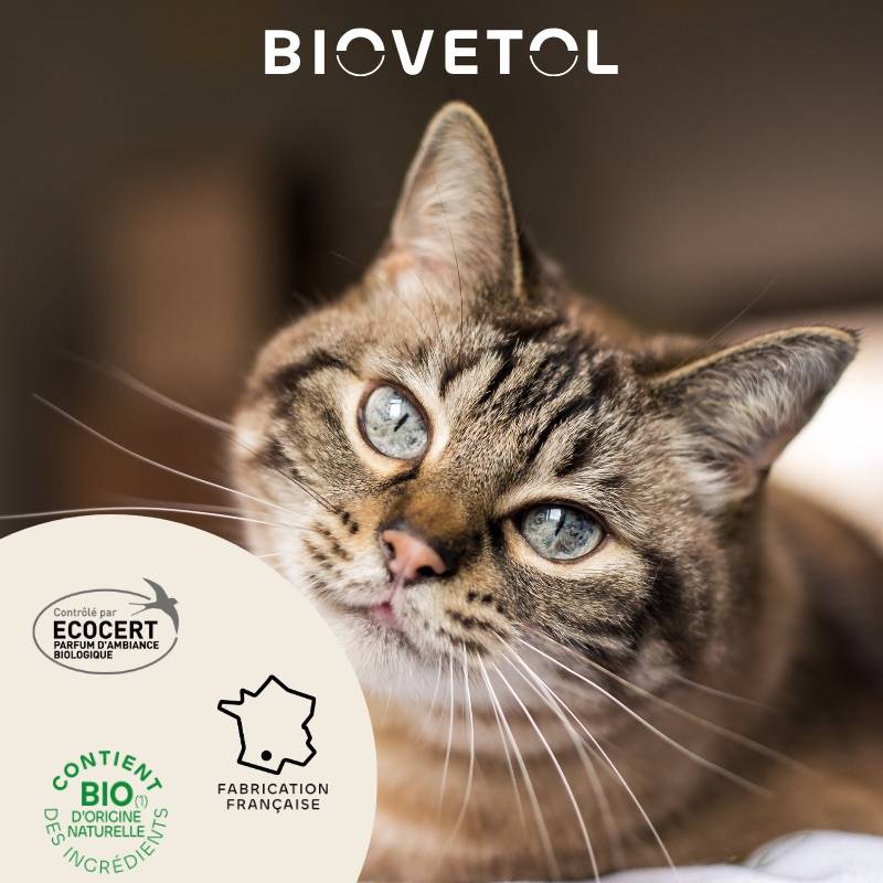 Lotion Destruct'urine BIOVETOL : chaton et chat BIOVETOL - Image 3