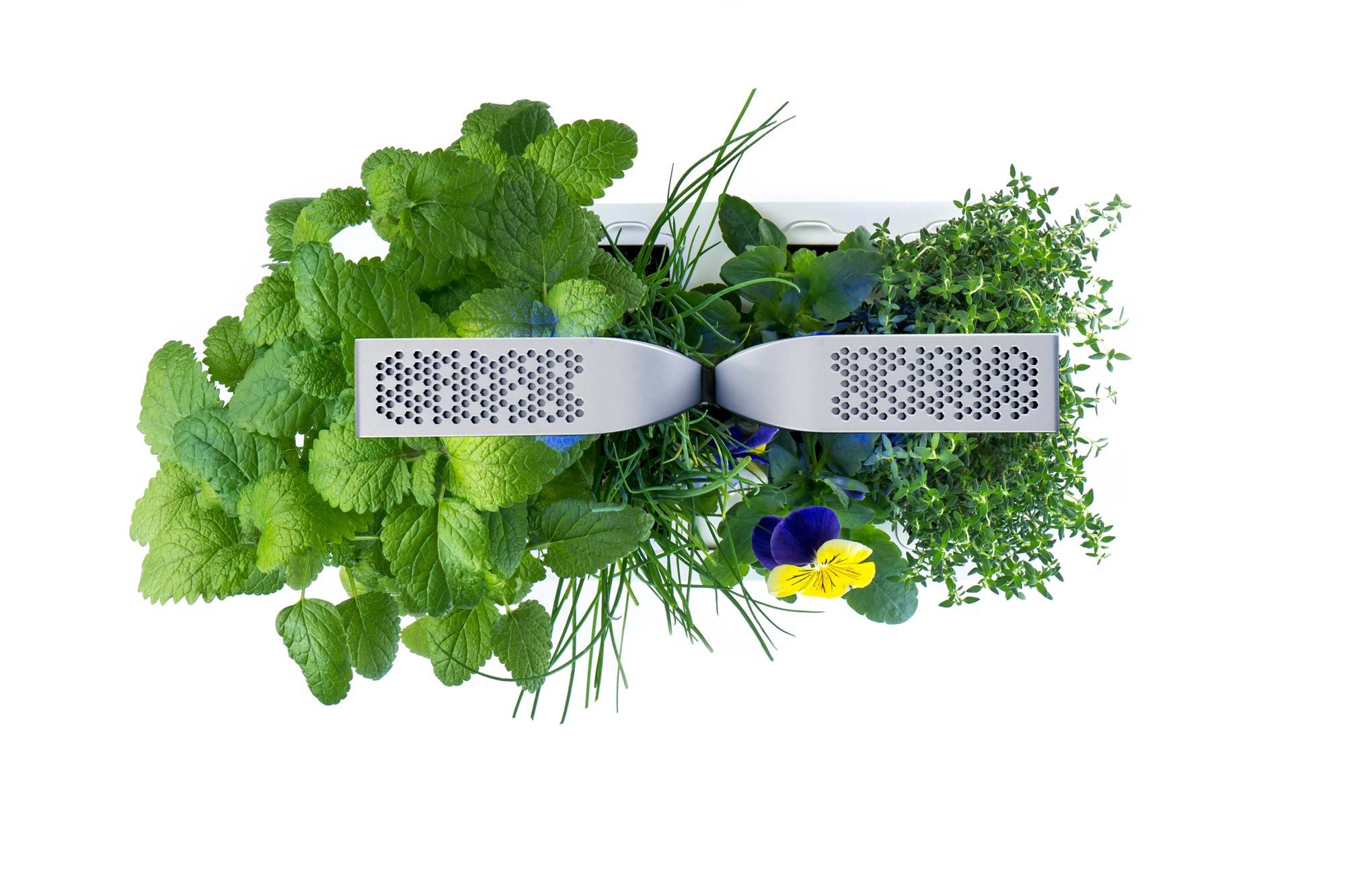 Veritable - Potager d'intérieur Autonome Véritable SMART Arctic White - Livré avec 4 Lingots - Véritable - Image 3
