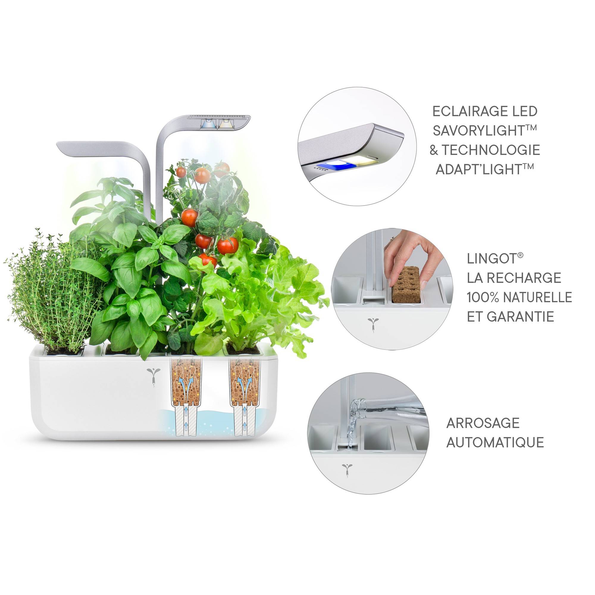 Veritable - Potager d'intérieur Autonome Véritable SMART Arctic White - Livré avec 4 Lingots - Véritable - Image 5