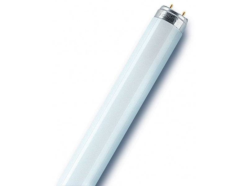 Osram - Tube Fluorescent T8/G13 58W - 5000Lm - 6500K OSRAM