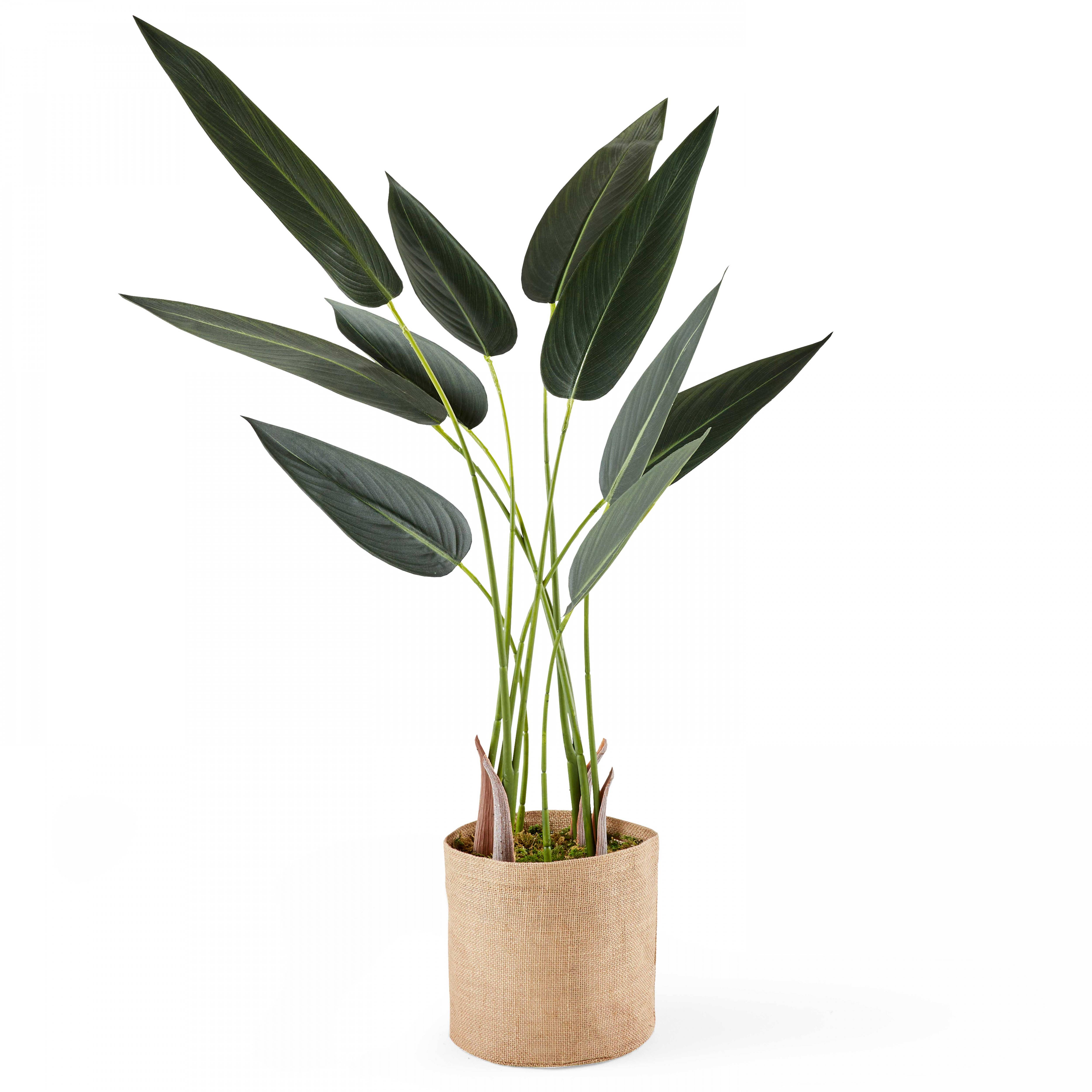Oviala - Plante artificielle en pot Strelitzia 90 cm
- Oviala - Image 1