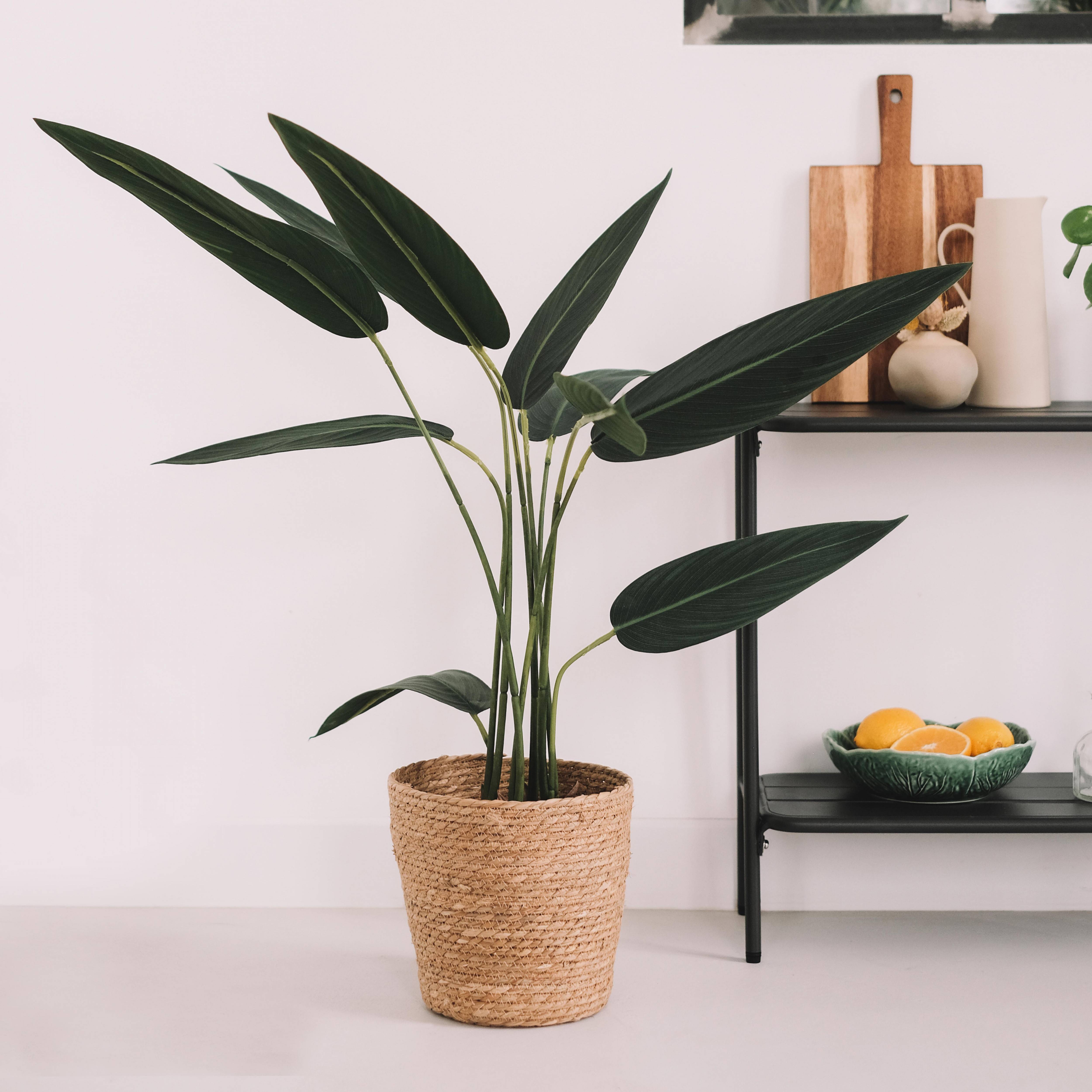 Oviala - Plante artificielle en pot Strelitzia 90 cm
- Oviala - Image 4