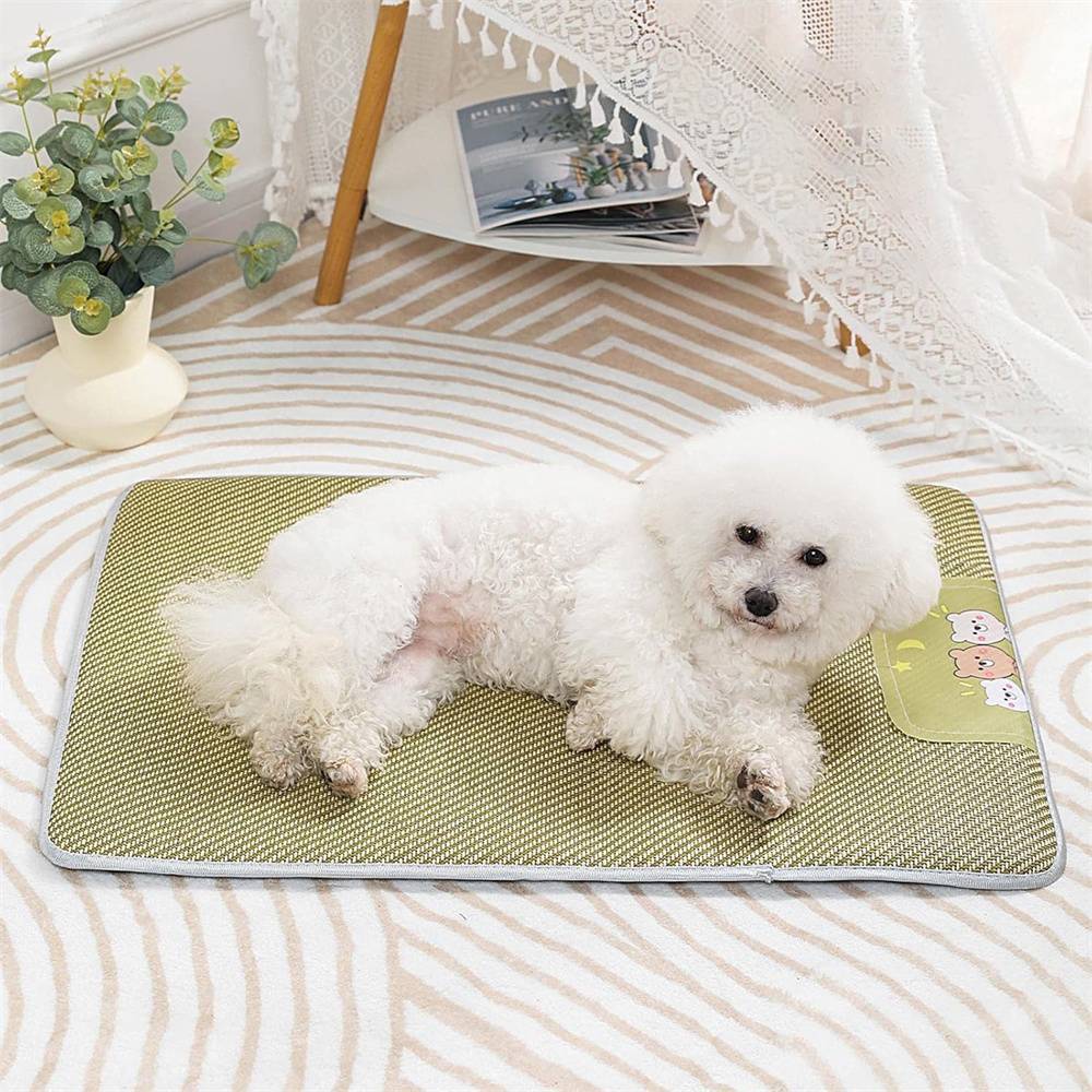 Tapis rafraîchissant pour chien et chat DtopbuyAge - Image 3