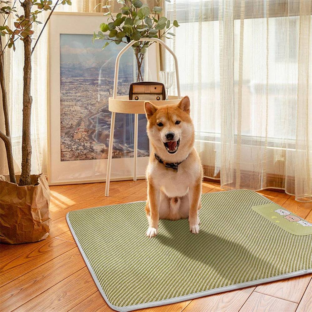 Tapis rafraîchissant pour chien et chat DtopbuyAge - Image 4