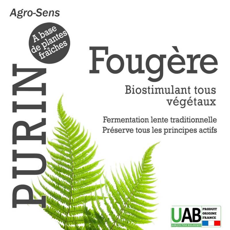 Purin de fougère - Concentré à diluer - 2 Litres - Image 2