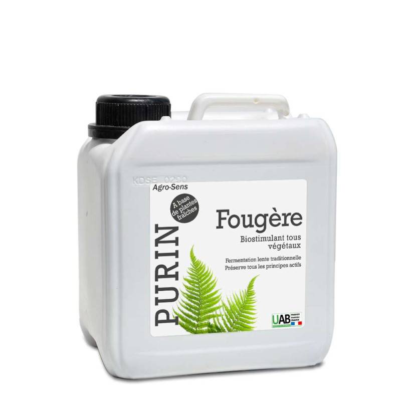Purin de fougère - Concentré à diluer - 2 Litres
