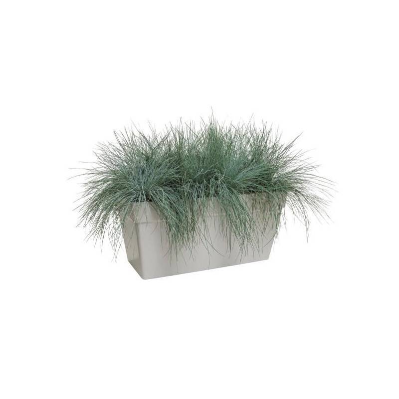 Elho - Elho Bac A Plantes Avec Roues Pour Terrasse - 70 Cm - Blanc - Image 2