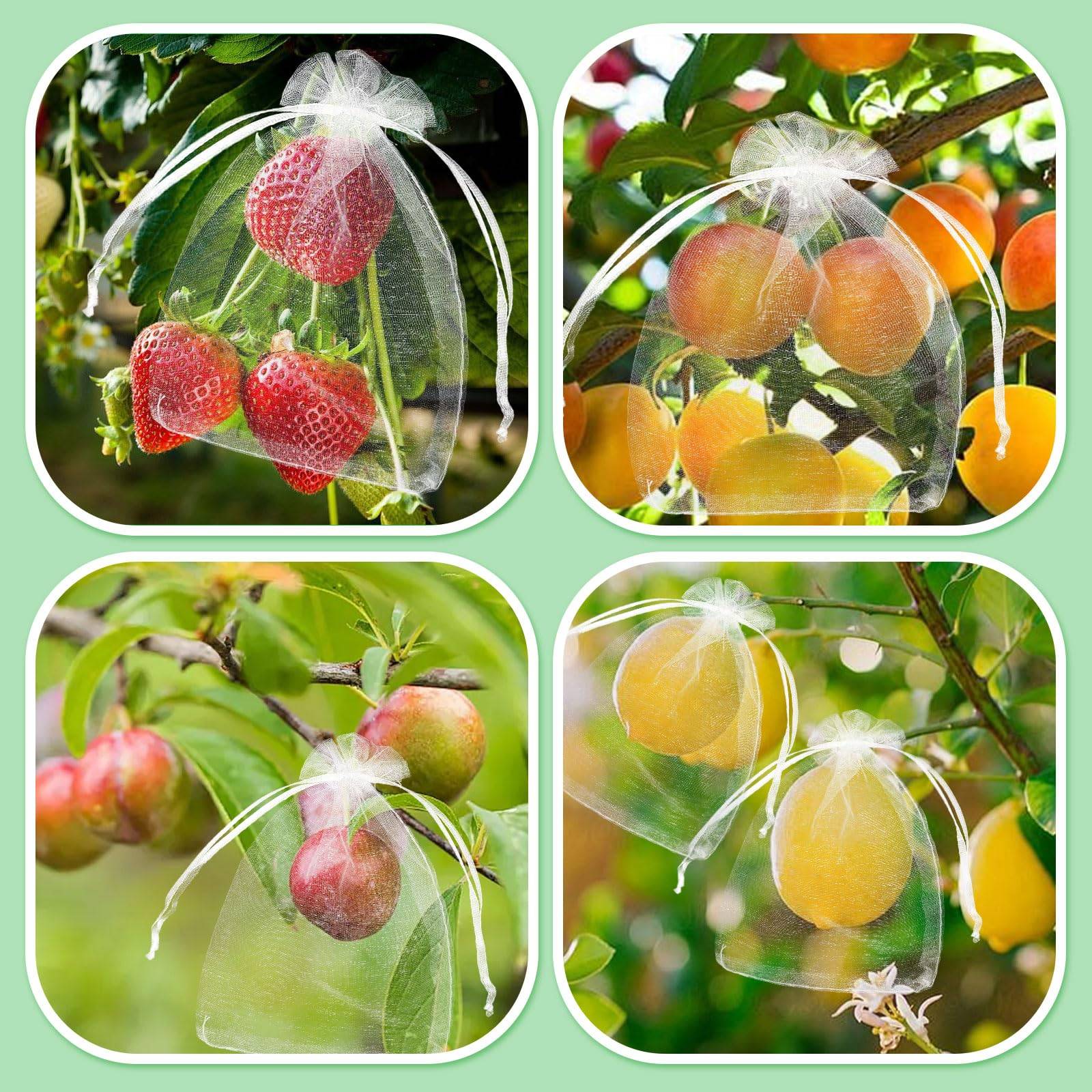 100 Pièces Sachet Organza avec Cordon de Serrage Sac de Protection de Raisins Réutilisable Jardin Protéger Sacs Protection pour Fruits-Lytech - Image 6