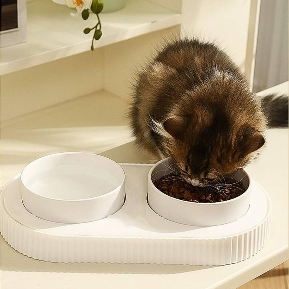 Double Gamelle en Céramique pour Chats Intérieurs ou Extérieurs Blanche - Lytech - Image 4