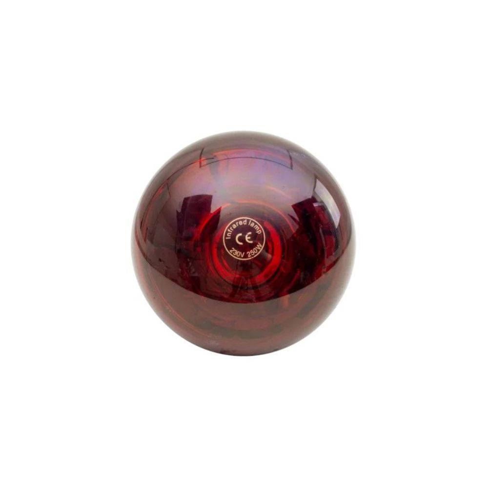 Ukal - Ampoule infrarouge 250 W rouge UKAL - Image 2
