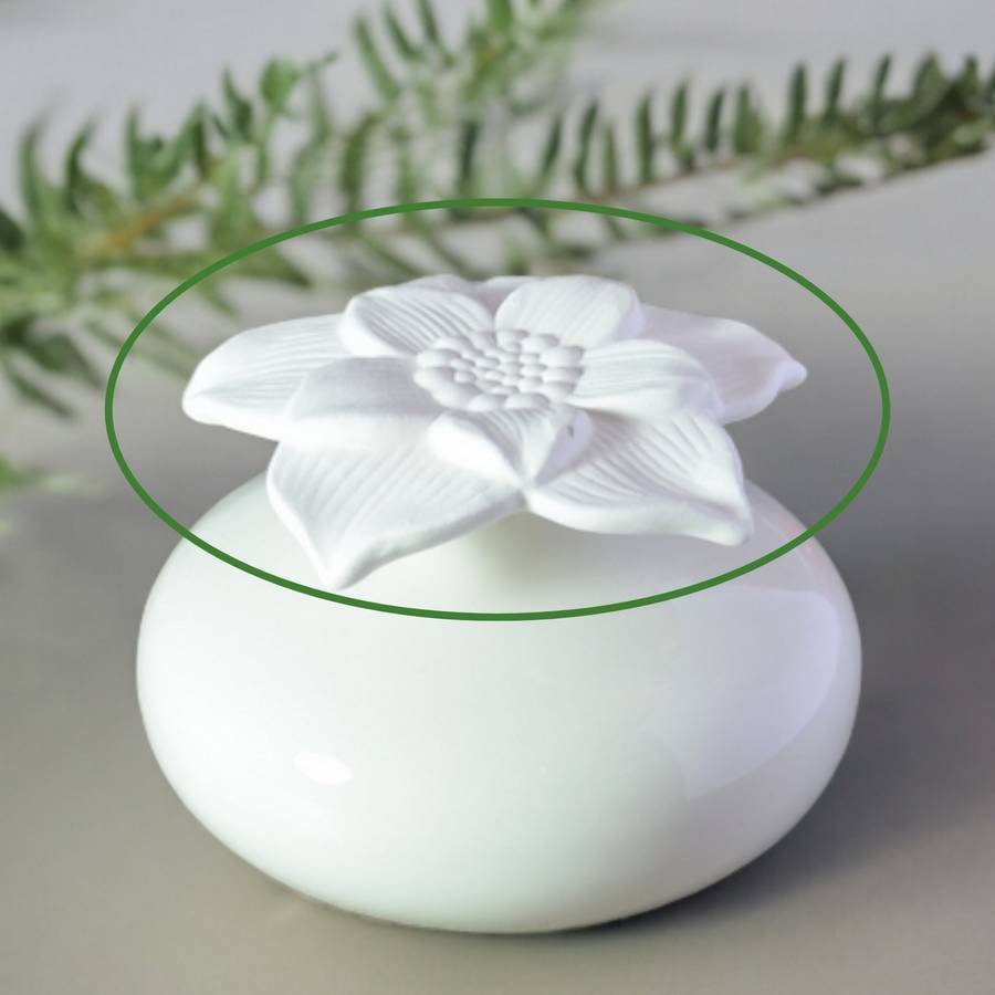 Fleur en Plâtre pour Diffuseur de Parfum par Capillarité Narcisse – Diffusion Naturelle – Zen'Arôme - Image 1