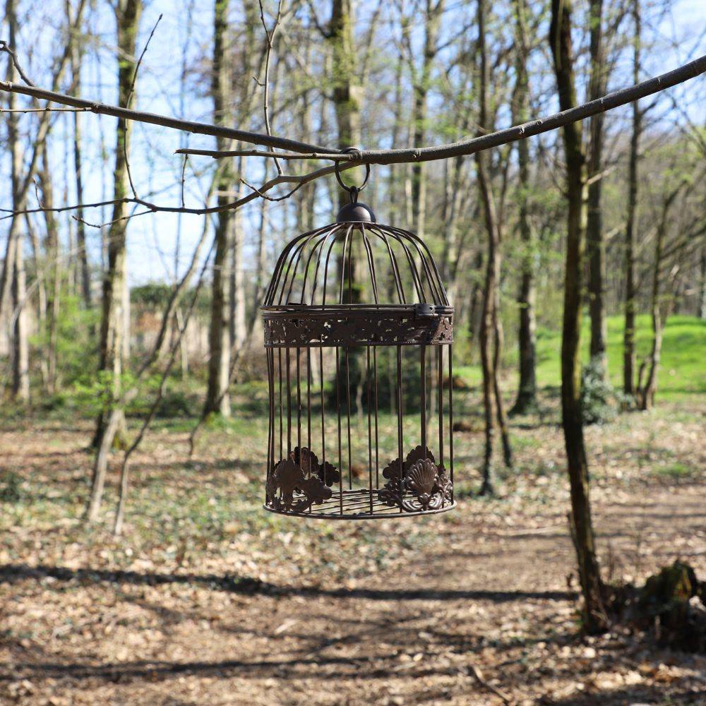 Cage à oiseaux décorative ancienne métal marron ø13x23cm Chemin de campagne - Image 3