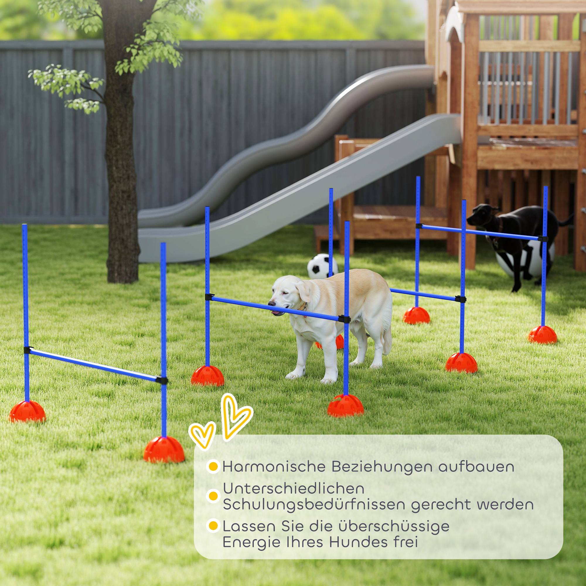 ComfortXL - Kit agilité chien 4 haies ABS réglables orange et bleu entraînement extérieur avec sac - ComfortXL Outdoor Living - Image 10