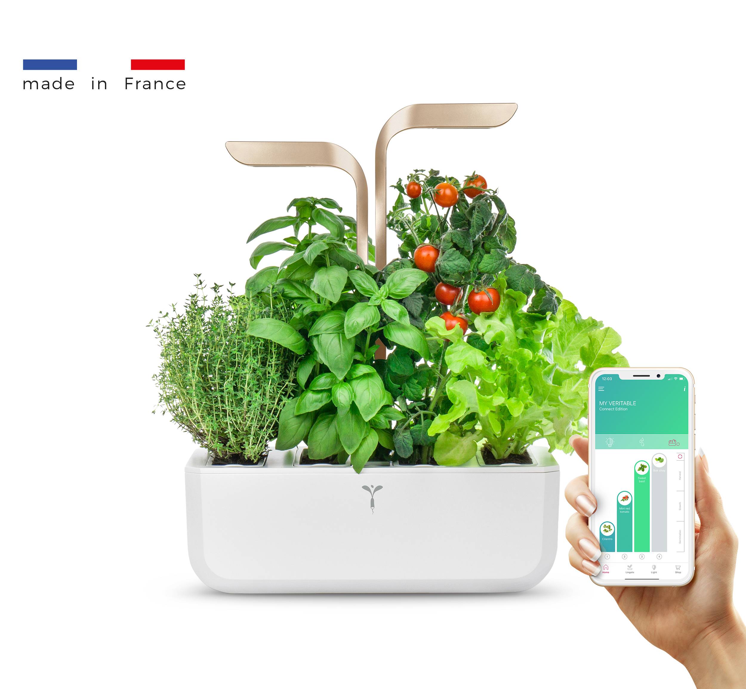 Veritable - Potager d'intérieur Autonome Véritable CONNECT Moonlight Gold - Livré avec 4 Lingots - Véritable - Image 1