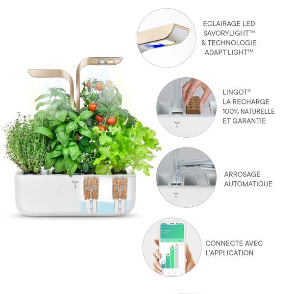 Veritable - Potager d'intérieur Autonome Véritable CONNECT Moonlight Gold - Livré avec 4 Lingots - Véritable - Image 5
