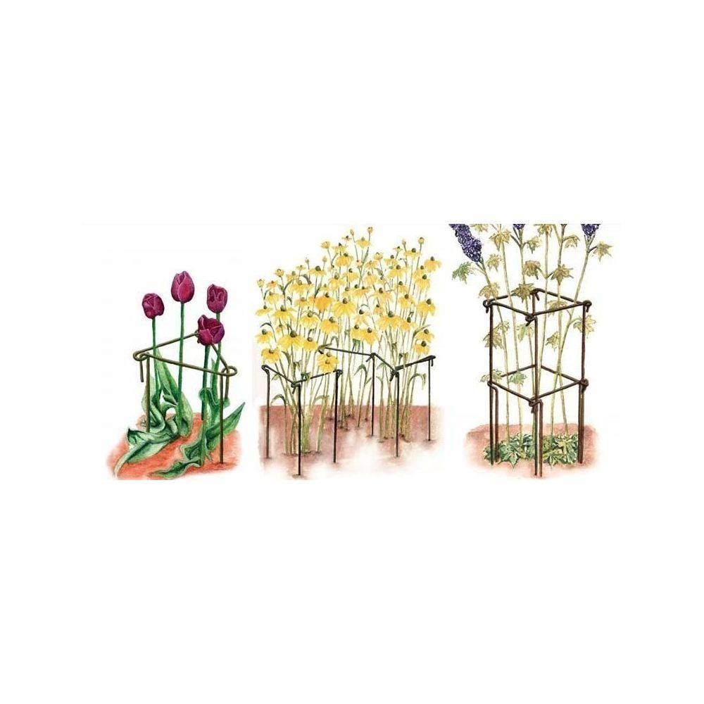 Harrod Horticultural - Support à plantes en acier (Lot de 6) 75 cm - Image 3