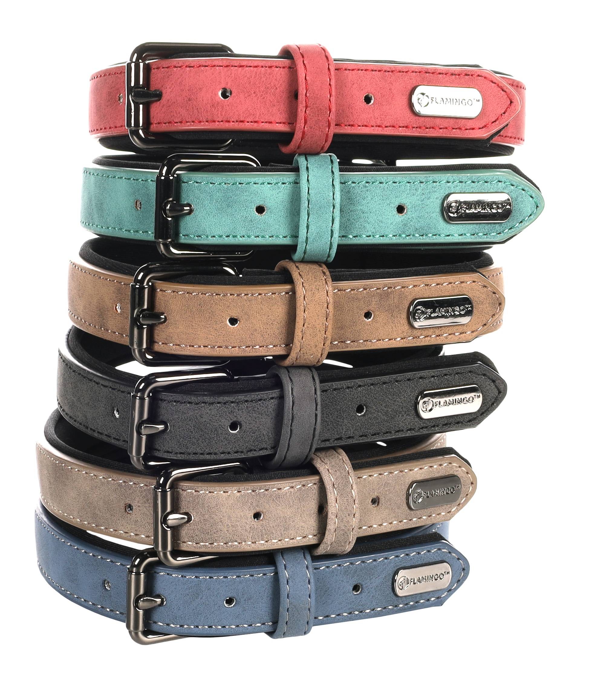 Eden - Collier pour chien avec doublure néoprène XS / S 24-30cm 15mm rouge - Image 4