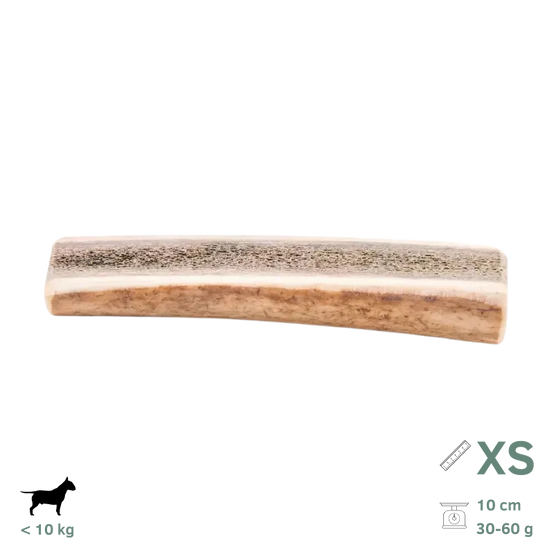 Bois de Cerf Tranchés pour Chien XS 30-60g - Image 1