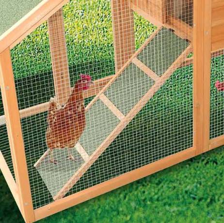 Poulailler en bois Cotentine 5 à 8 poules - Image 3